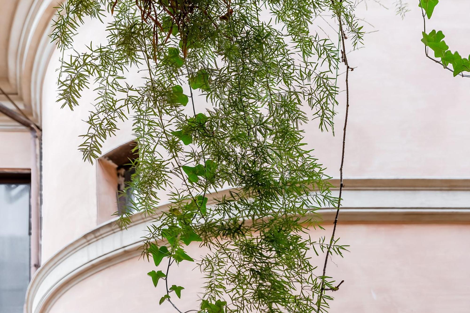 Trevi Fountain Stylish Guest House Roma Esterno foto